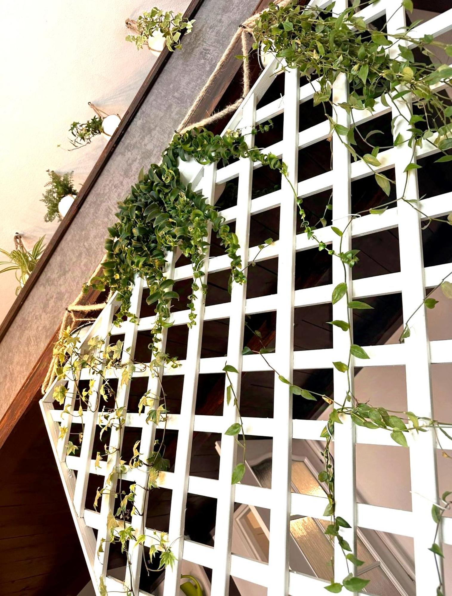 Green Garden Decin Luaran gambar